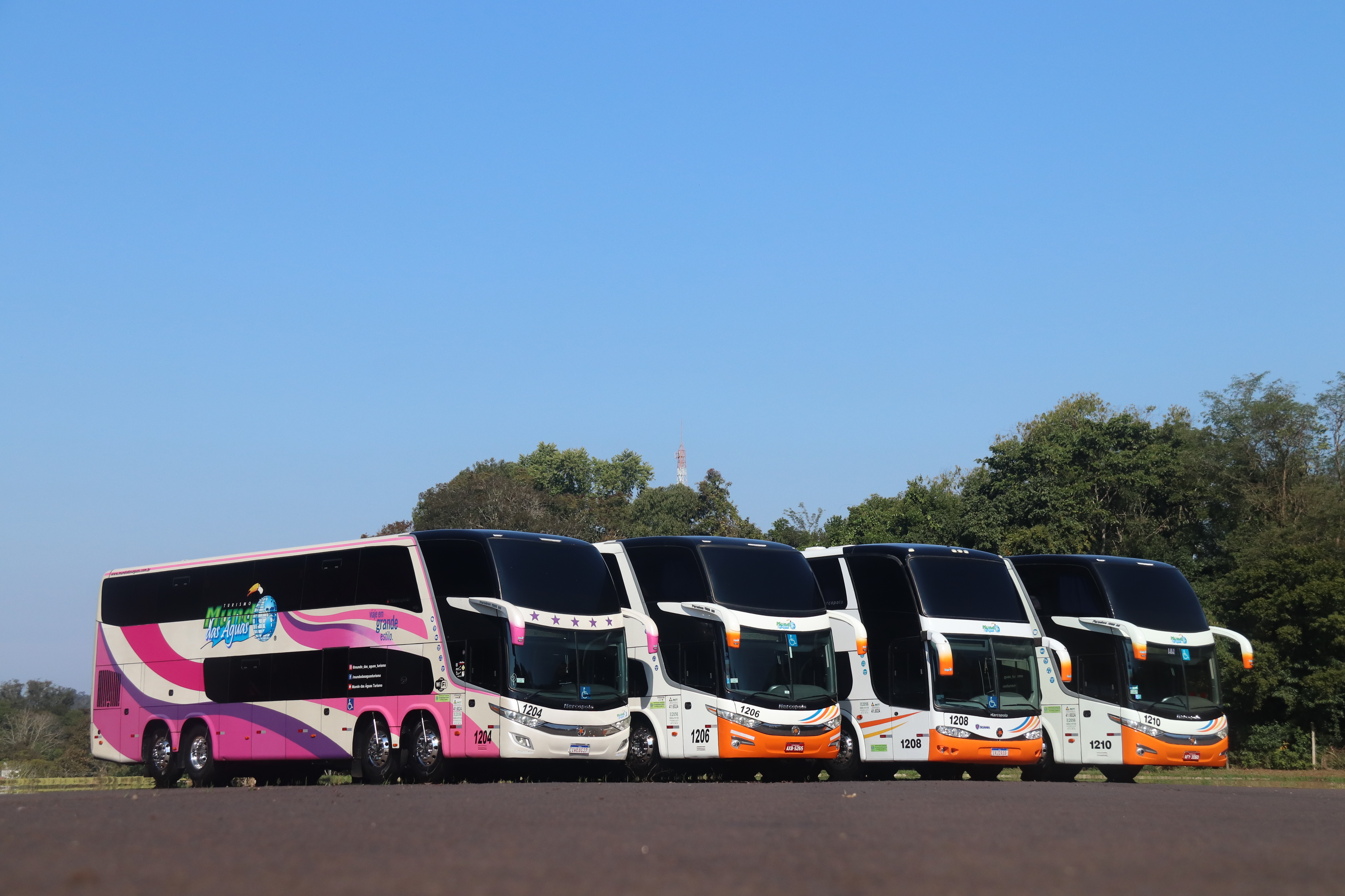 Organização de excursões